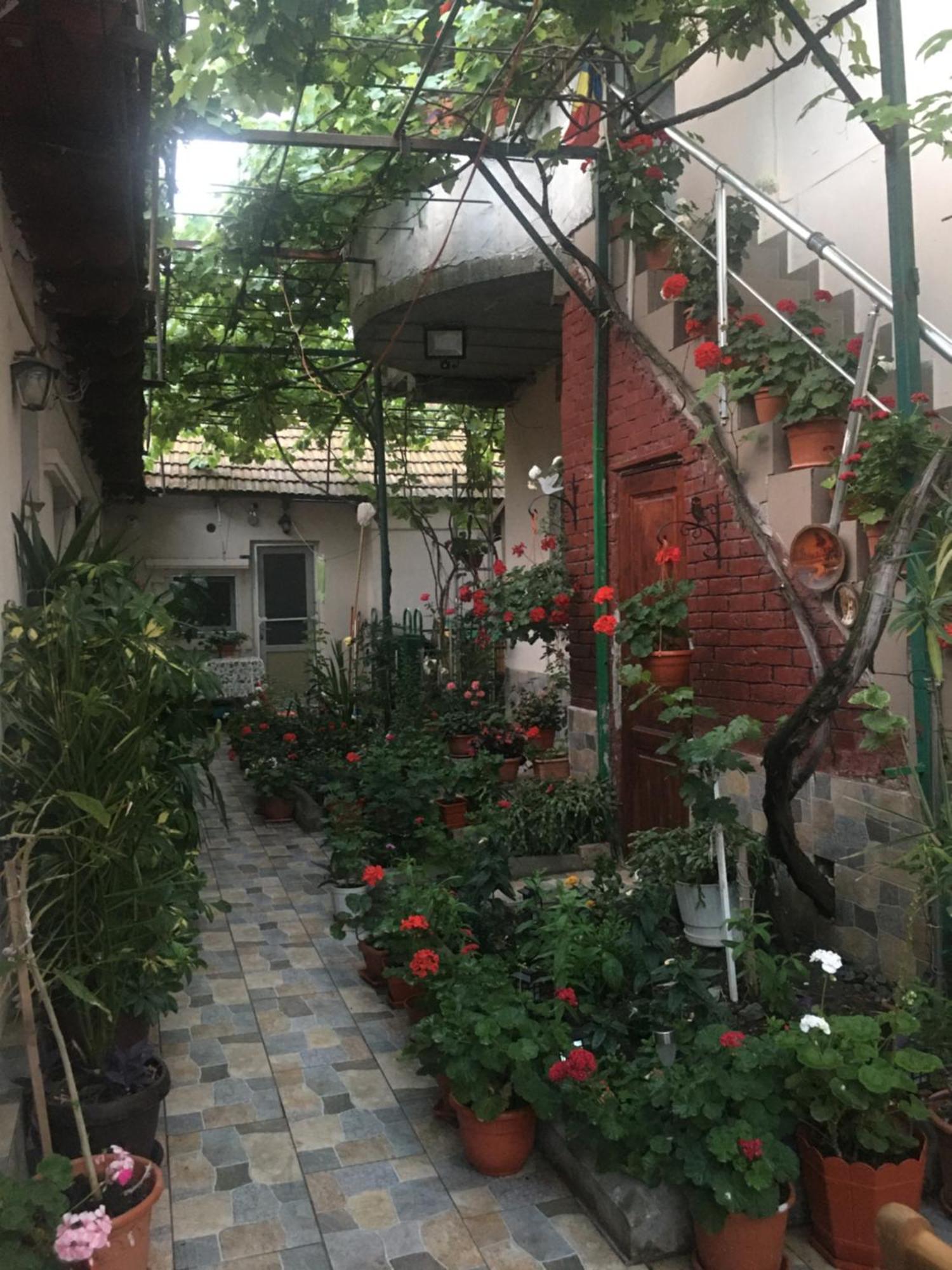 Cazare La Mare Vila Констанца Екстериор снимка