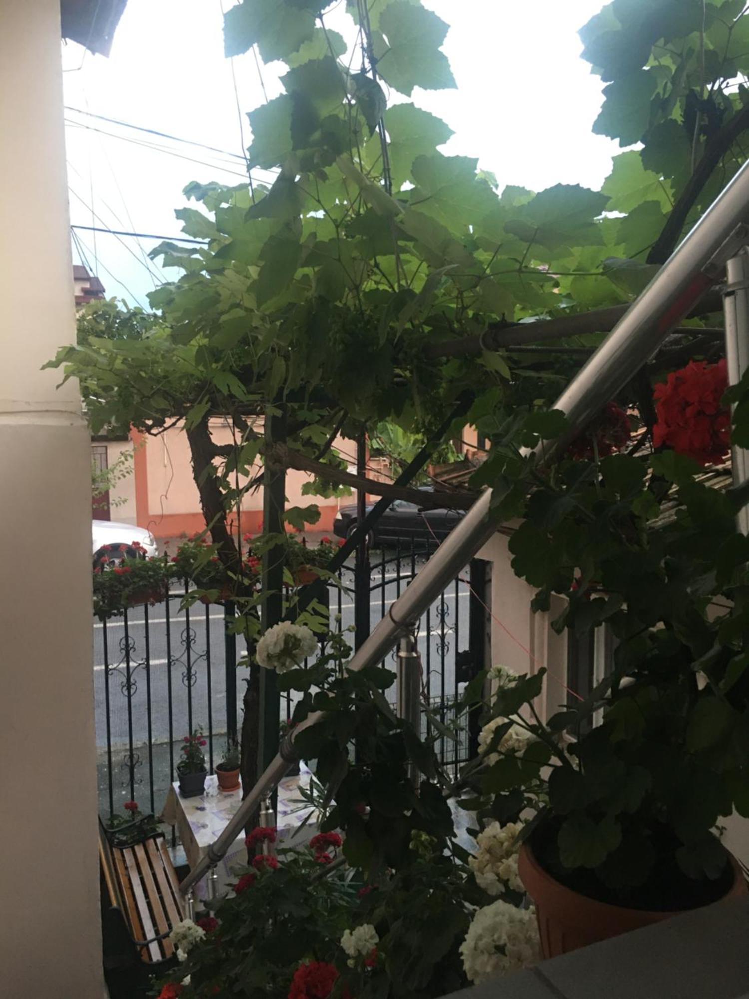Cazare La Mare Vila Констанца Екстериор снимка